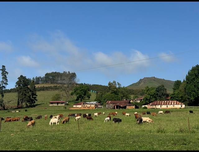 165HA FARM FOR SALE IN RICHMOND RURAL